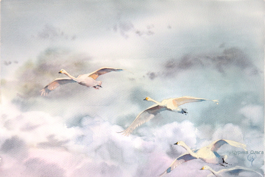 цурина художник лебеди птицы символы счастья любви купить картину